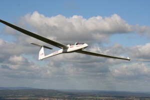 DG505 (3)